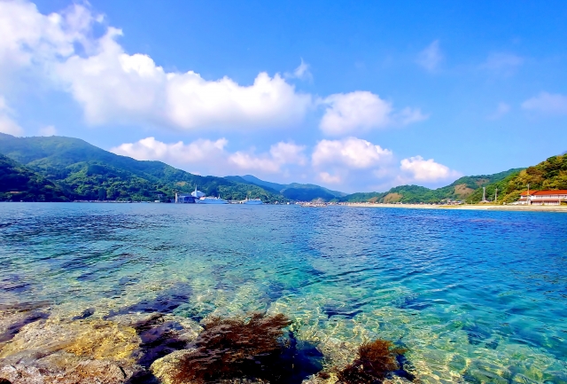 海の写真